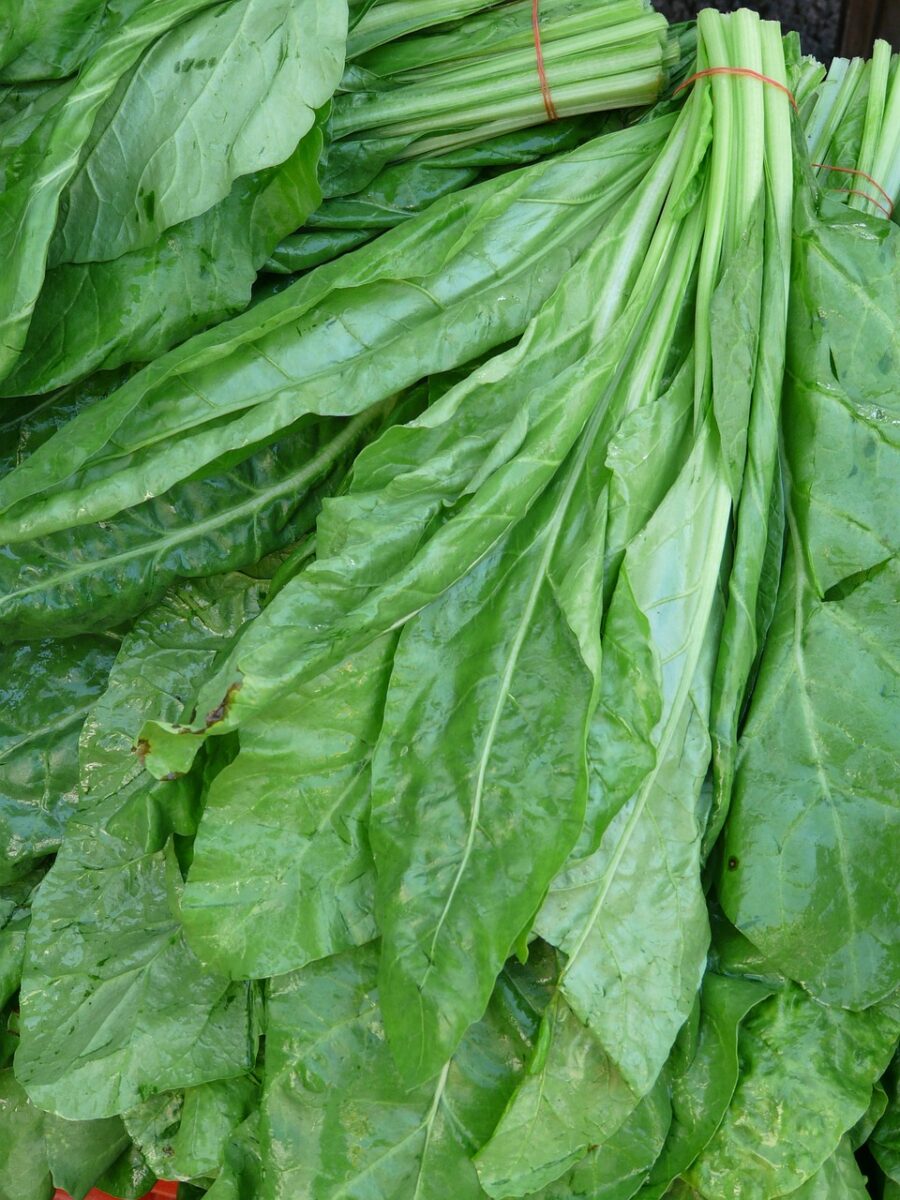 Spinaci Novelli