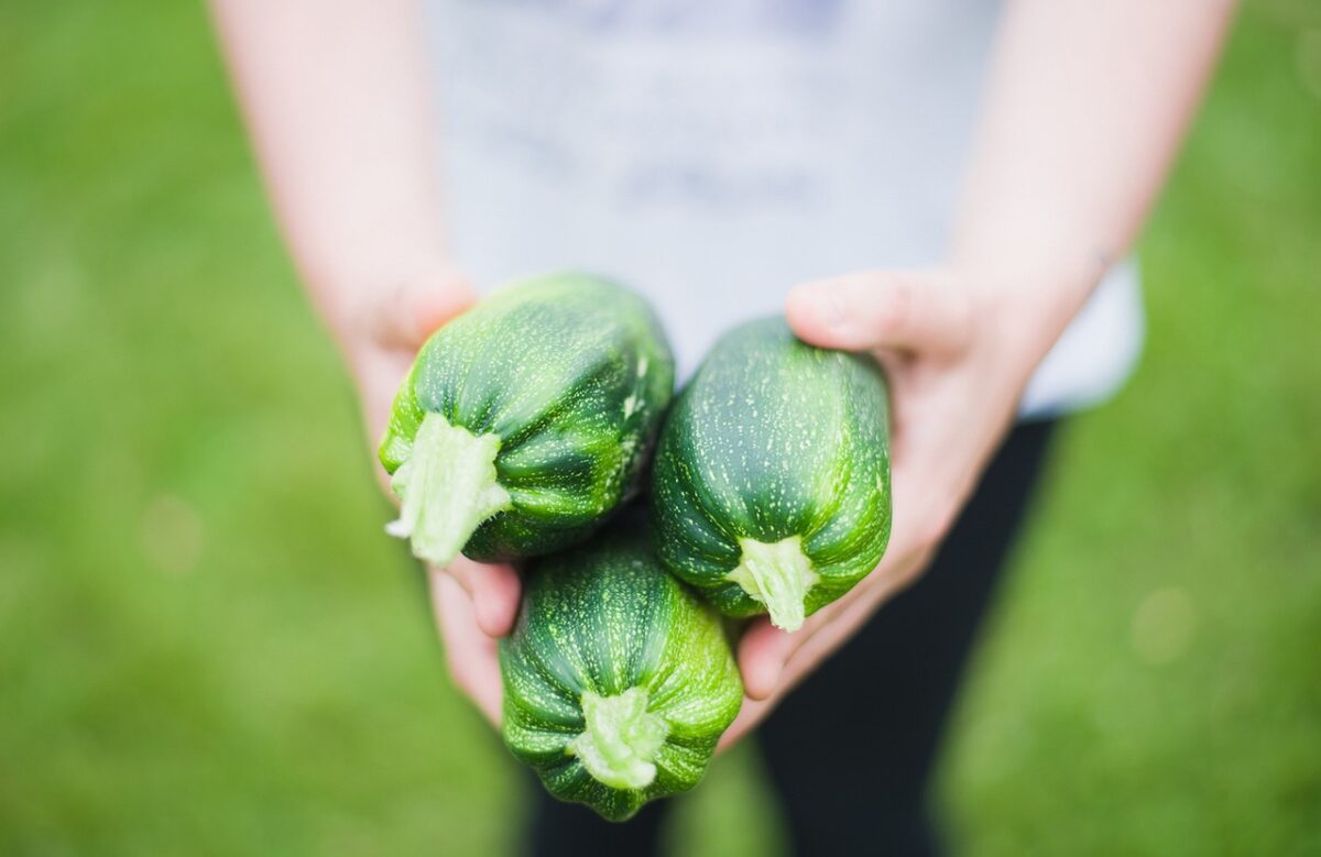 Zucchine Spinose