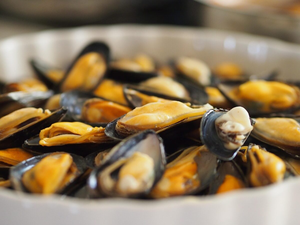 Vongole