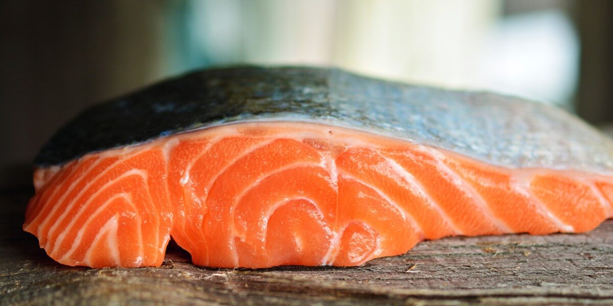 Salmone Fresco