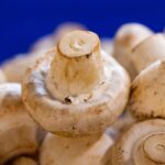 Funghi Champignon