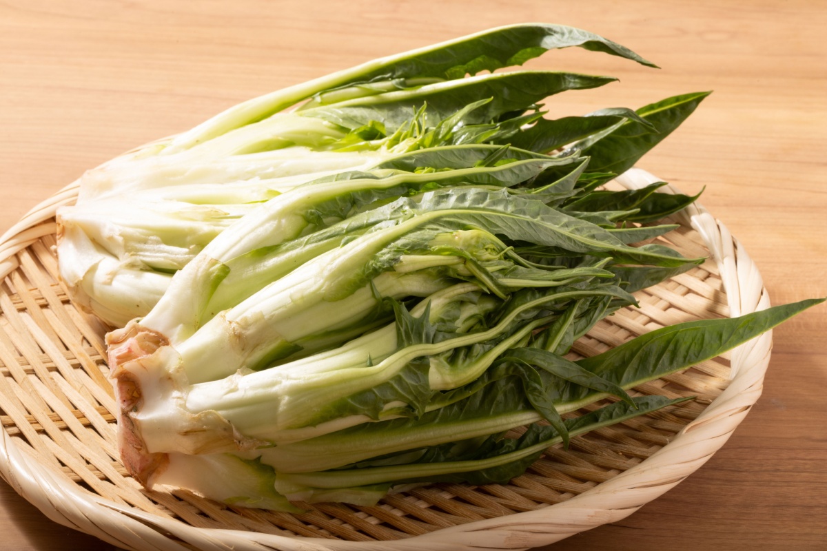 Puntarelle